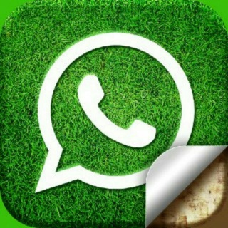 WHATSAPP VIDEO STATUS