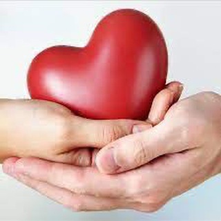 ДАР волонтёры Польша