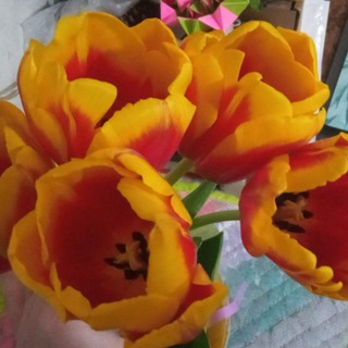 Информация. Обсуждение