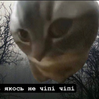 О͟͞р͟͞г͟͞і͟͞я͟͞ ͟͞з͟͞а͟͞ ͟͞г͟͞а͟͞р͟͞а͟͞ж͟͞а͟͞м͟͞и͟͞ ✙