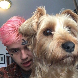 🕷𝖑𝖎𝖑 𝖕𝖊𝖊𝖕 ua🕷🇺🇦