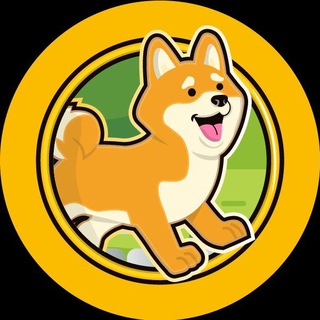 FlokiRun - Just Launched❗️