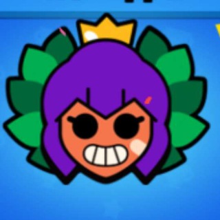 Куська чат DarkCity