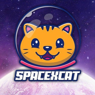 SPACEXCAT OFFICIAL