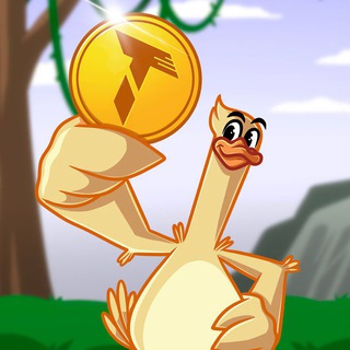 TON — Тренды & Новости