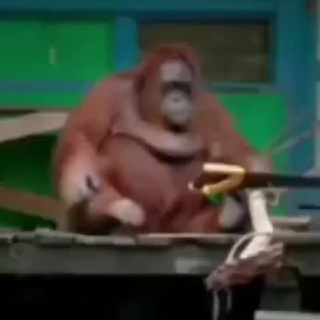 Чат ¦ когда скучно ¦🌹