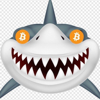 Crypto АКУЛА 🌊 Info