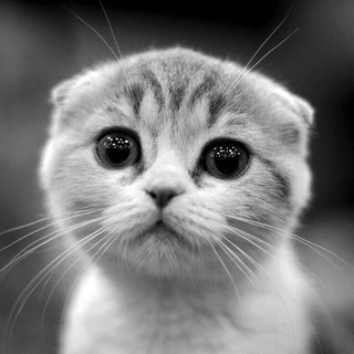 Общение пиар