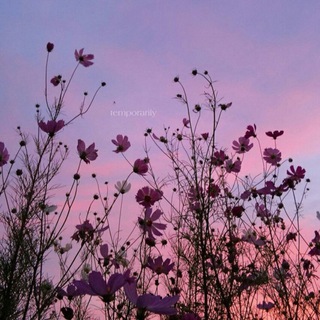 🌈Rainbow ВП чат🌈