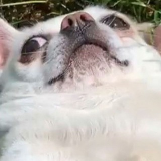 Гуртожиток КНЕУ #6🔝