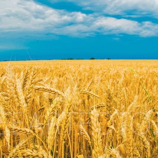 АГРОТРЕЙДЕР🇺🇦