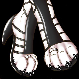 У меня есть фул