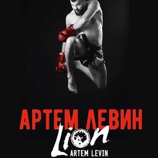 Artem LION Levin 🦁🏅🏆⭐️