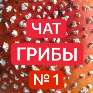 №1 Muhomorspace.ru ГРИБОЕДЫ Чат - Мухоморы 🍄🍄🍄 16 + ГРИБНИКИ