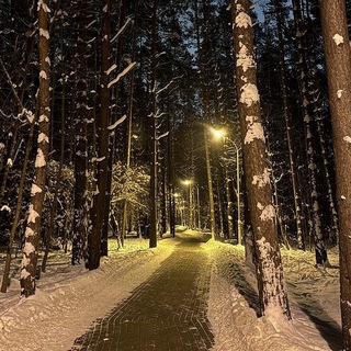 ❄️ Зеленый Луг ❄️