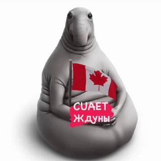 Ждуны CUAET Canada 🇨🇦
