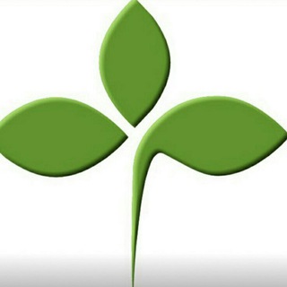 Курорти України🍀