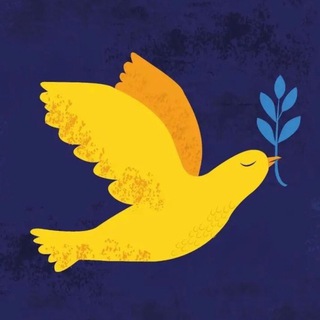 Українці в Торуні (Torun Ukraine Торунь)