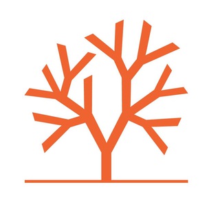 YC и Startup School коммьюнити