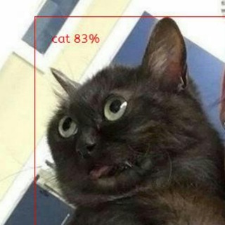 Artificial stupidity