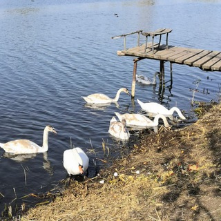 Хутор Кондратов