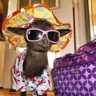 у эльфика💗