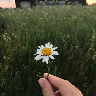 Записки тревожной матери