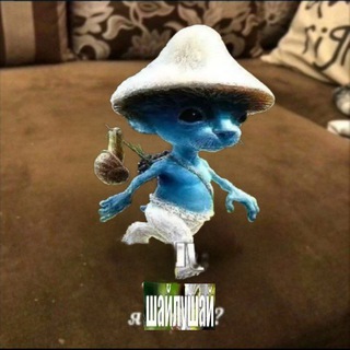 💗💗biba hays💗💗