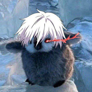 Полковник Цирклеткович 🥸