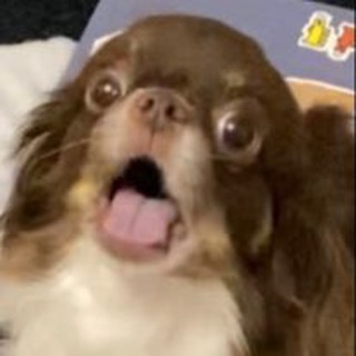 жизненный перформанс