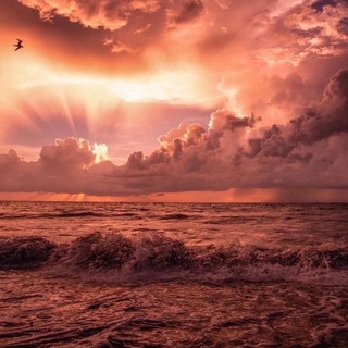 Булат. Записи 🗒