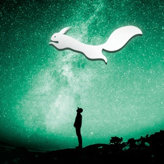 В поисках Гайки 🐿️