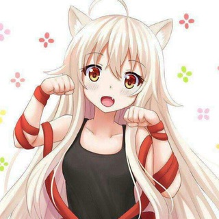 бемро дримс