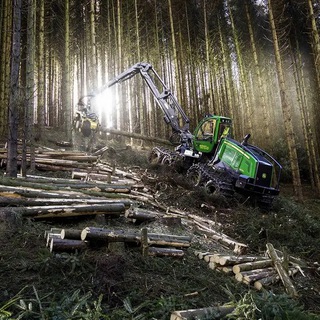 Ассоциация лесопромышленников Пермского края