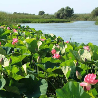 Землячество 