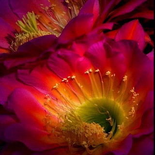 Эзотерика💫Энергопрактики