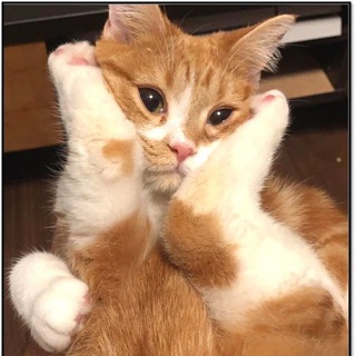 астрология.