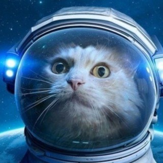 Дневник АСТРО-ФИЗИКА 🪐