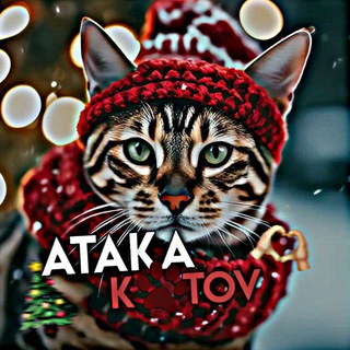 Атака Котов | Кот & Пёс