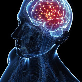 Жажда Знаний