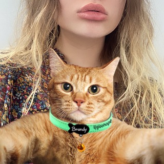 Про психологию