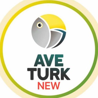 AveTurk / Основание Осман все серии
