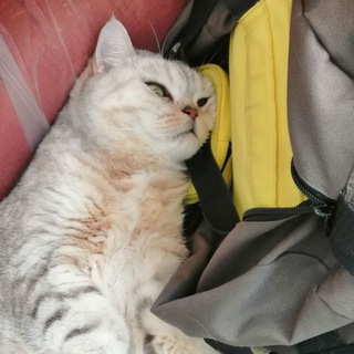 Блог Айны 🏳️‍🌈