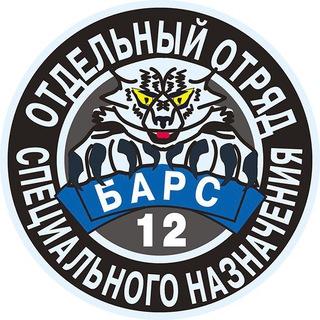 БАРС 1️⃣2️⃣ ⚡️Za Победу⚡️