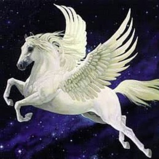 Бахинур. Поэзия для взрослых с чувством юмора