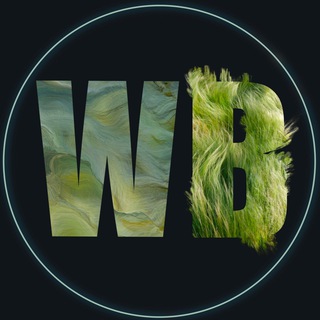 Балдежные вещи с WB🍑