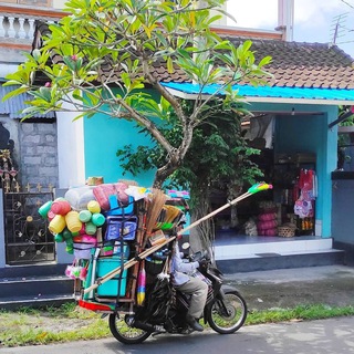 Твой друг на Бали