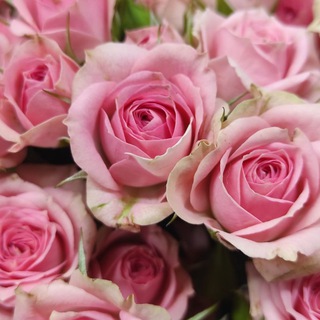 Цветы Букеты Москва