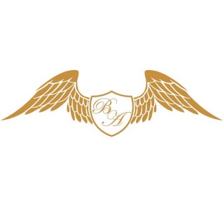 Бизнес Ангелы - основной канал