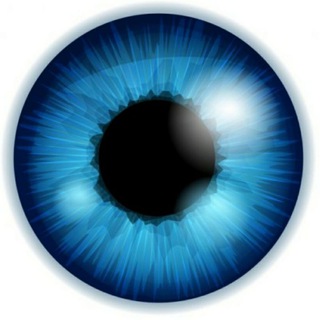 Кино Фильмы